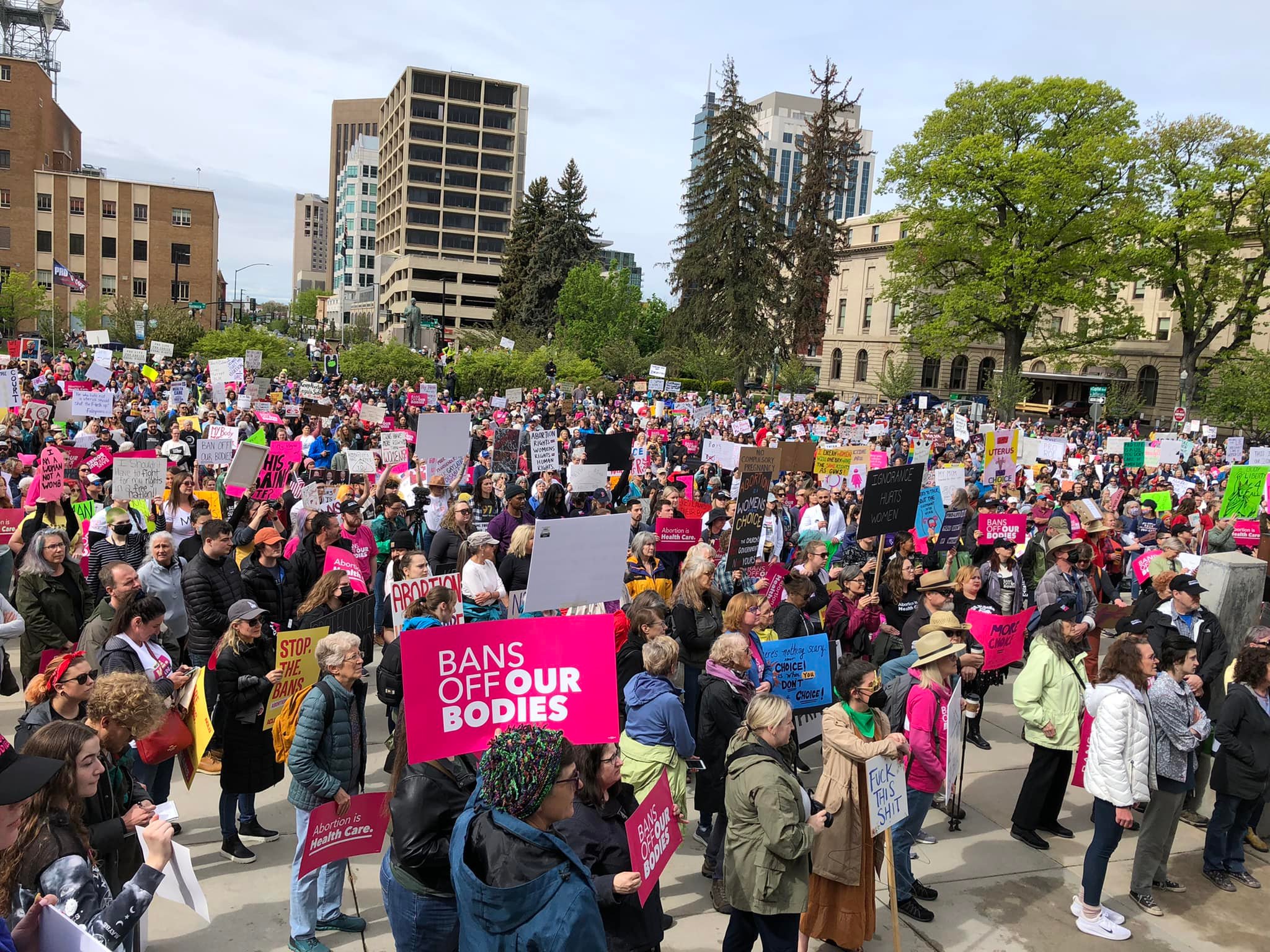 Idaho Women's March crowd